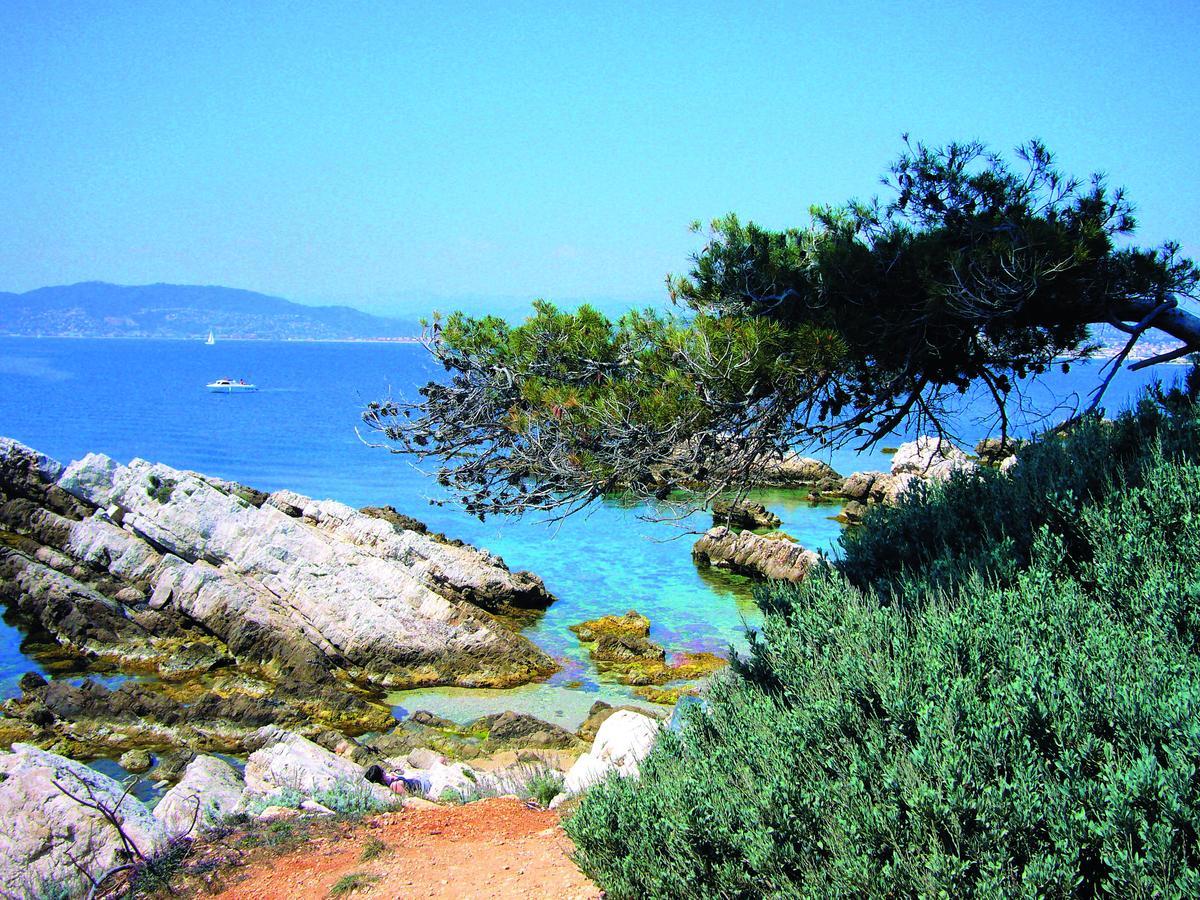 Les Rivages - Appartement Vue Mer Imprenable-Piscine Six-Fours-les-Plages Esterno foto